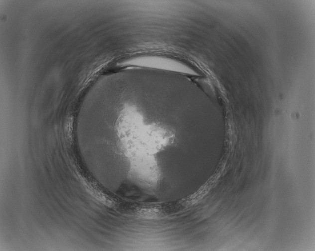 X0000087630066200705181511