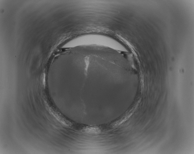 X0000087630067200705181511