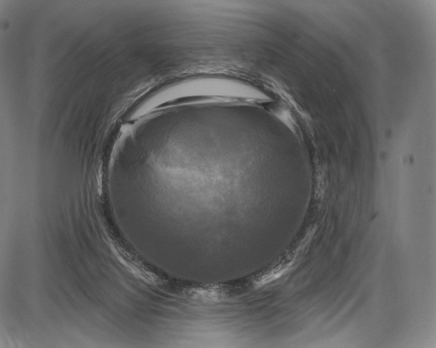 X0000087630068200705181511