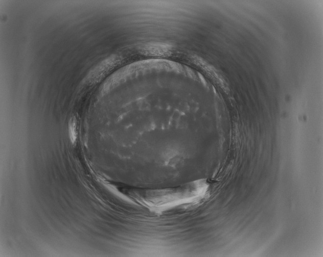 X0000087630069200705181511