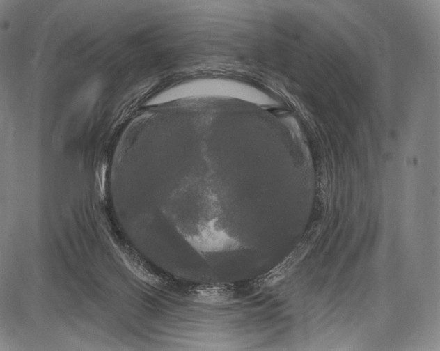 X0000087630070200705181511