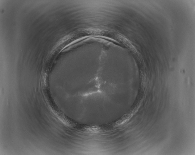 X0000087630071200705181511