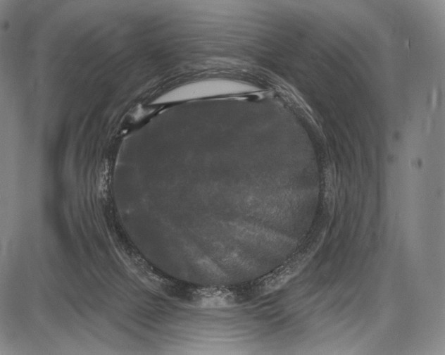 X0000087630073200705181511