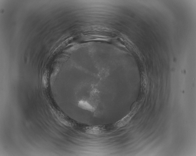 X0000087630074200705181511