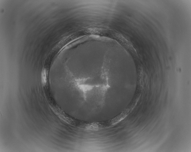 X0000087630075200705181511