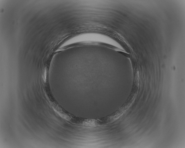 X0000087630076200705181511