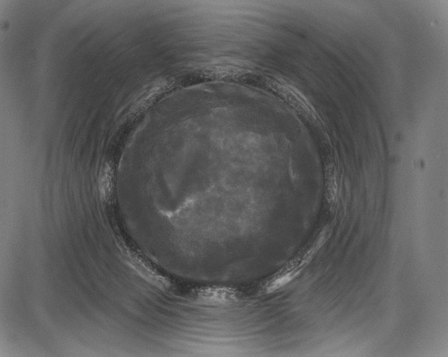 X0000087630077200705181511