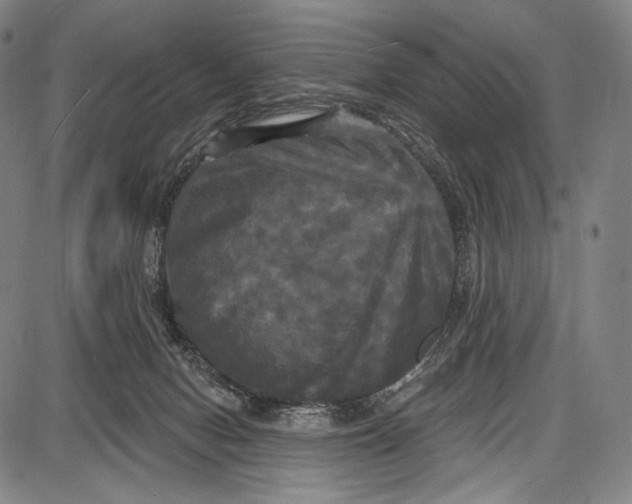 X0000087630078200705181511