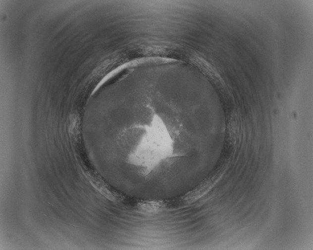 X0000087630079200705181511