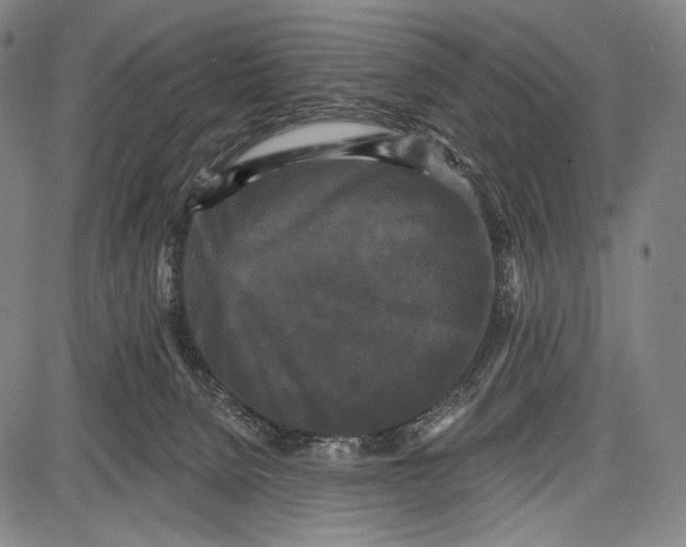 X0000087630080200705181511