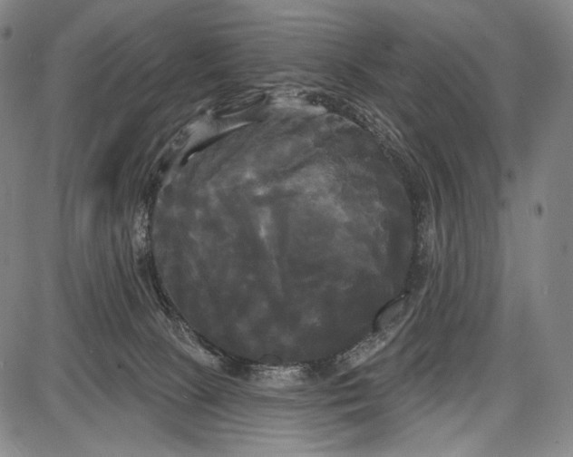 X0000087630081200705181511