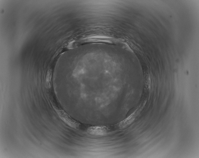 X0000087630082200705181511