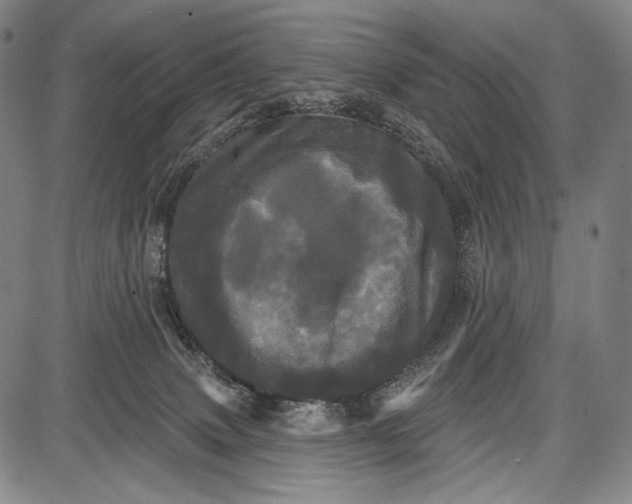 X0000087630083200705181511