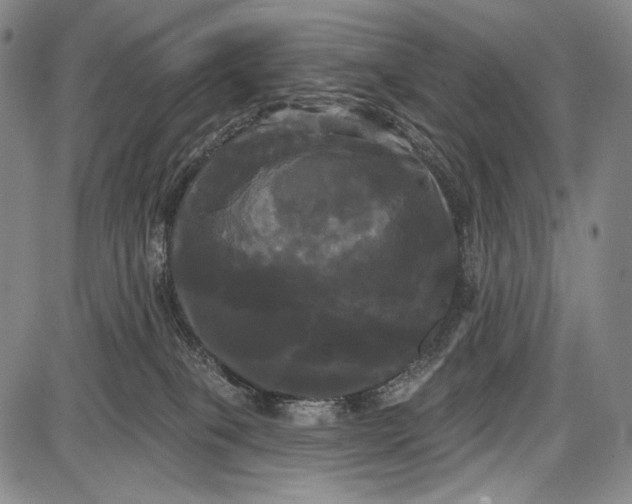 X0000087630085200705181511