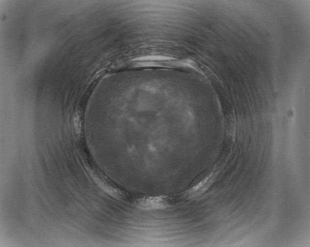 X0000087630086200705181511