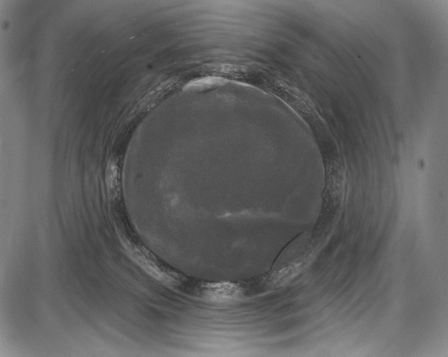 X0000087630087200705181511