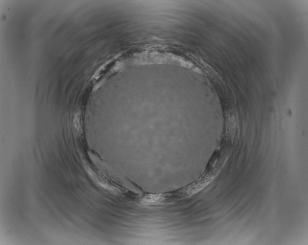 X0000087630088200705181511