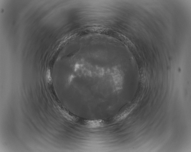 X0000087630089200705181511