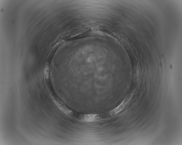 X0000087630090200705181511