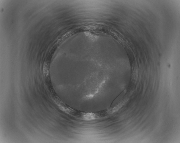 X0000087630091200705181511