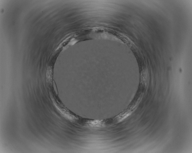 X0000087630092200705181511