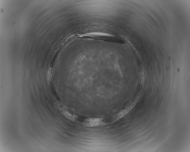 X0000087630093200705181511