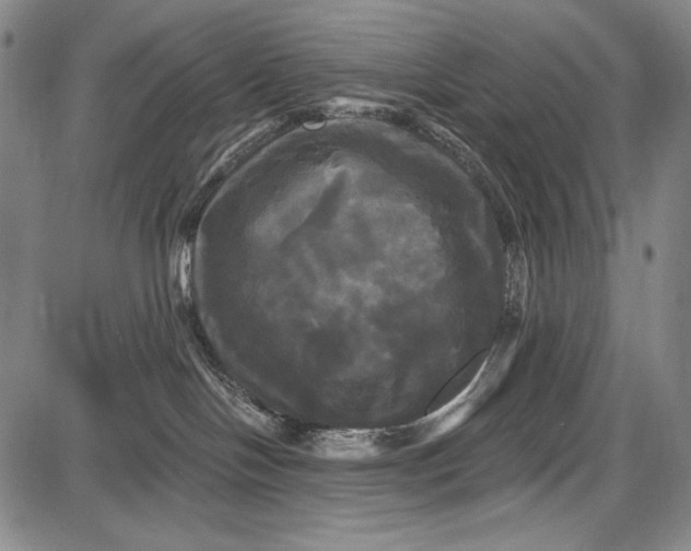 X0000087630094200705181511