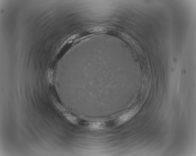 X0000087630096200705181511