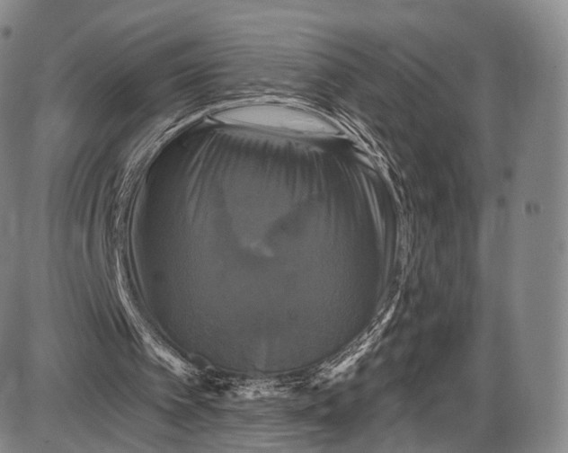 X0000087630097200705181510