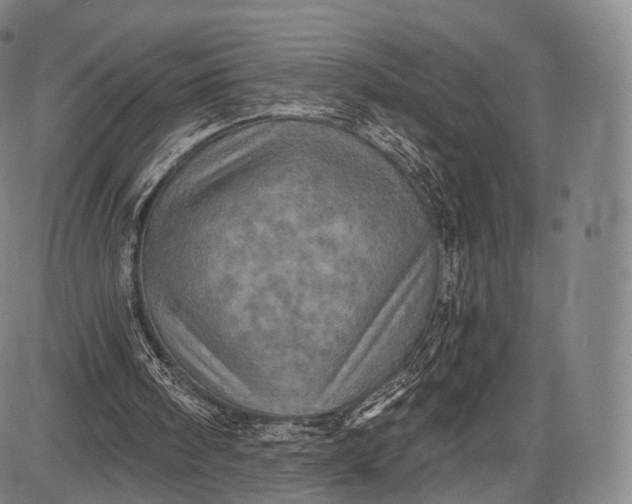 X0000087630098200705181510