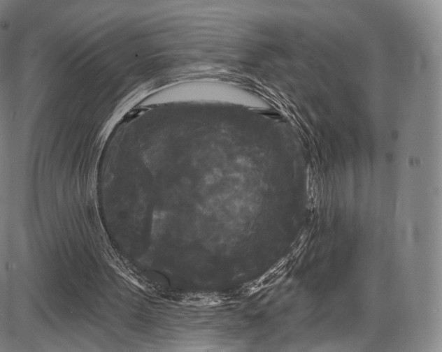 X0000087630099200705181510