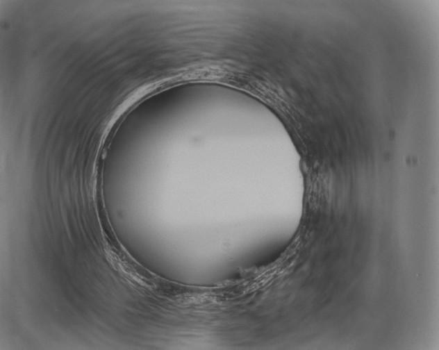 X0000087630100200705181510