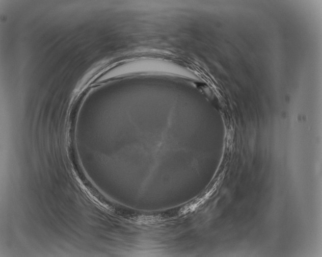 X0000087630101200705181510