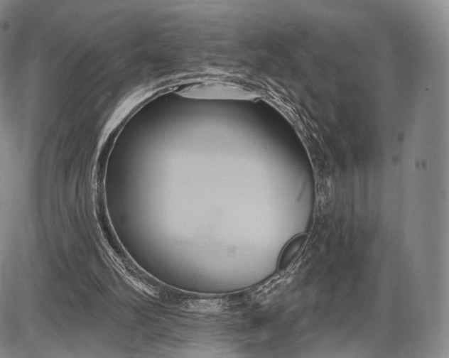 X0000087630102200705181510