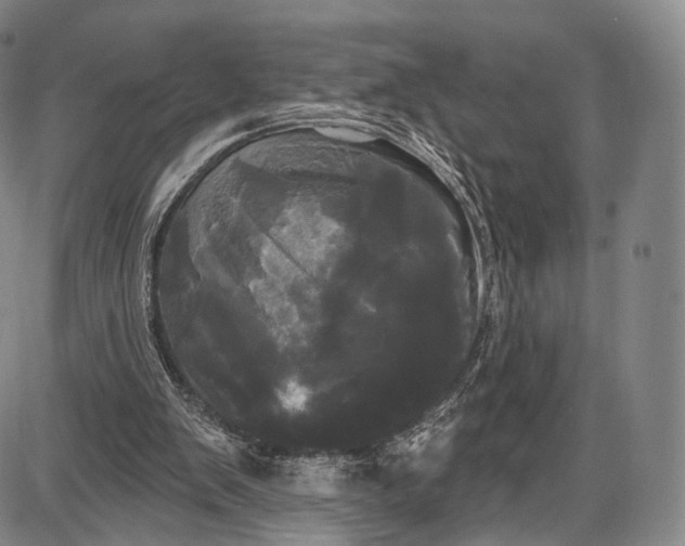 X0000087630103200705181510