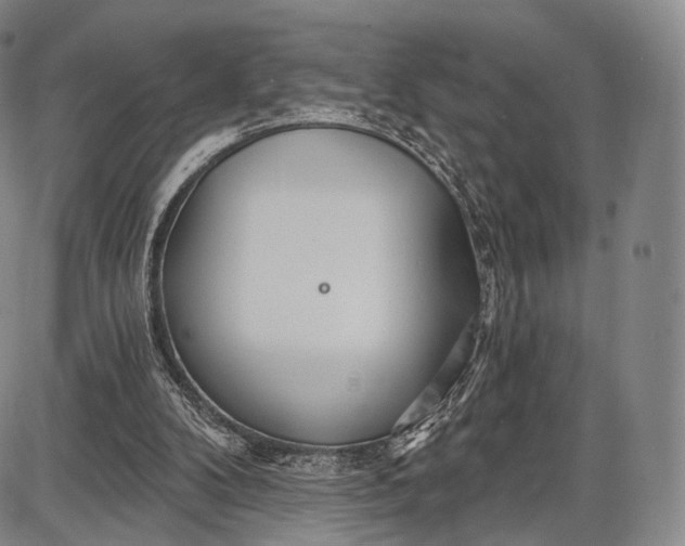 X0000087630104200705181510