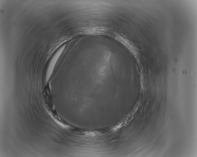 X0000087630105200705181510