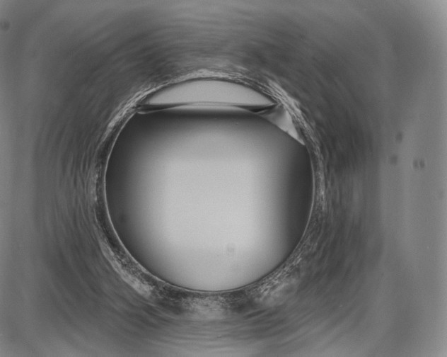 X0000087630106200705181510