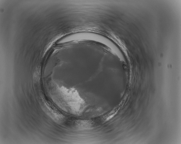 X0000087630107200705181510