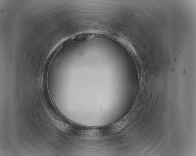 X0000087630108200705181510