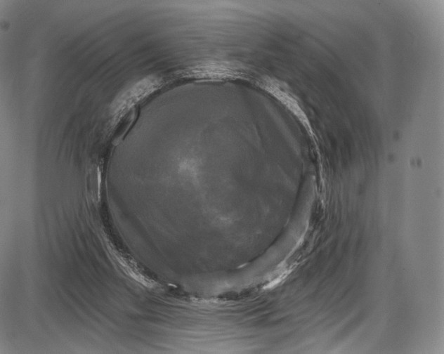 X0000087630109200705181510