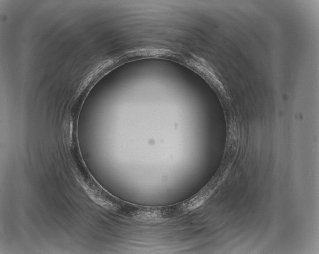 X0000087630110200705181510