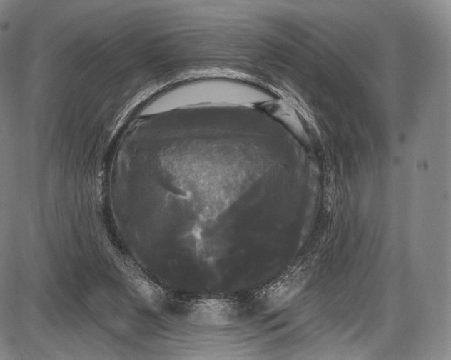 X0000087630111200705181510