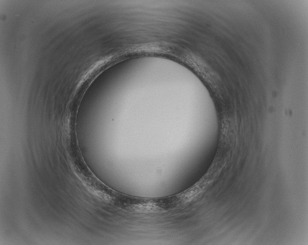 X0000087630112200705181510