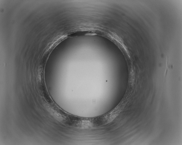 X0000087630114200705181510