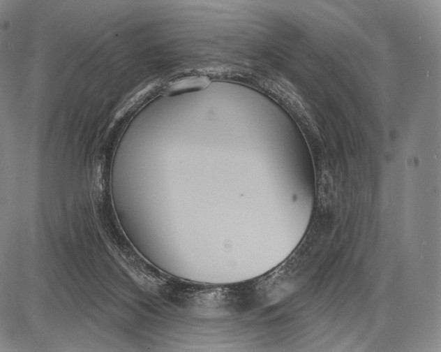 X0000087630116200705181510