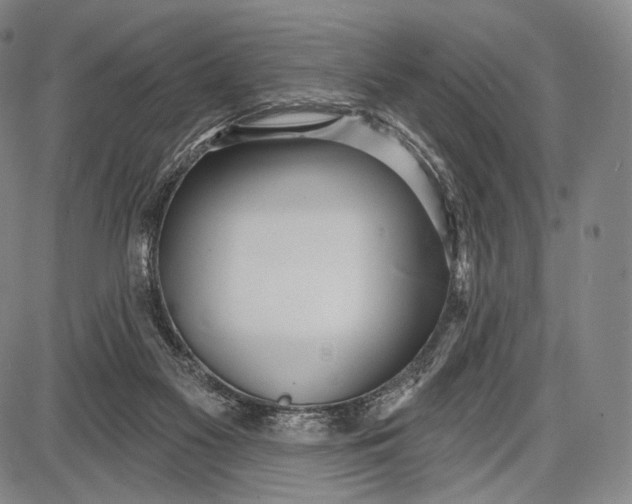 X0000087630117200705181510