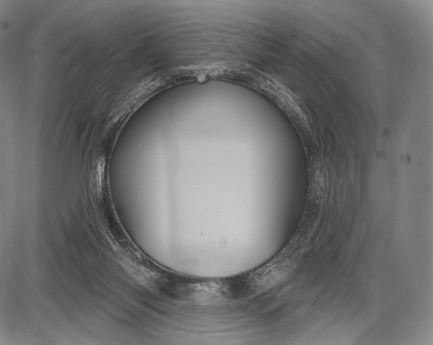 X0000087630118200705181510