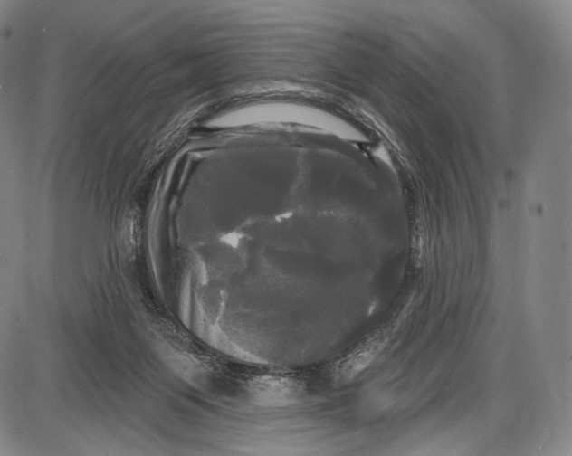 X0000087630119200705181510