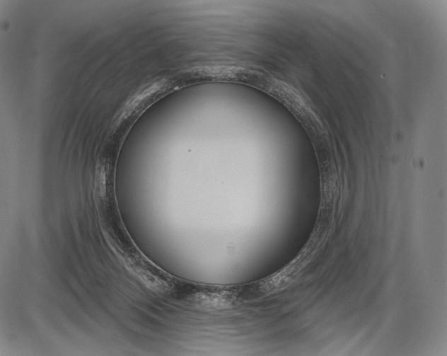 X0000087630120200705181510